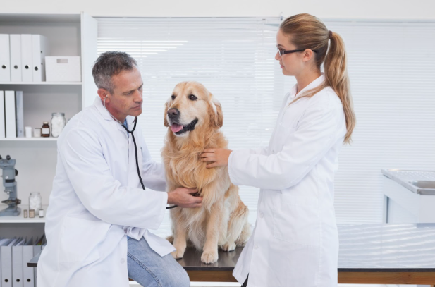Mortgages-for-Veterinarians